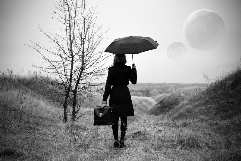 Parallel Universe Sightseeing